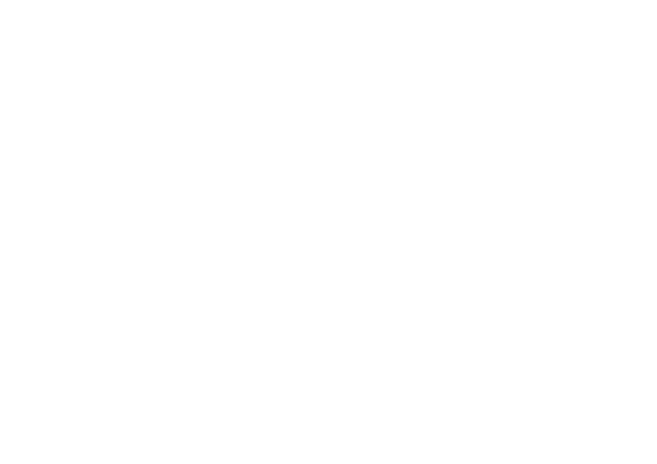 Snowfish Sushi logo